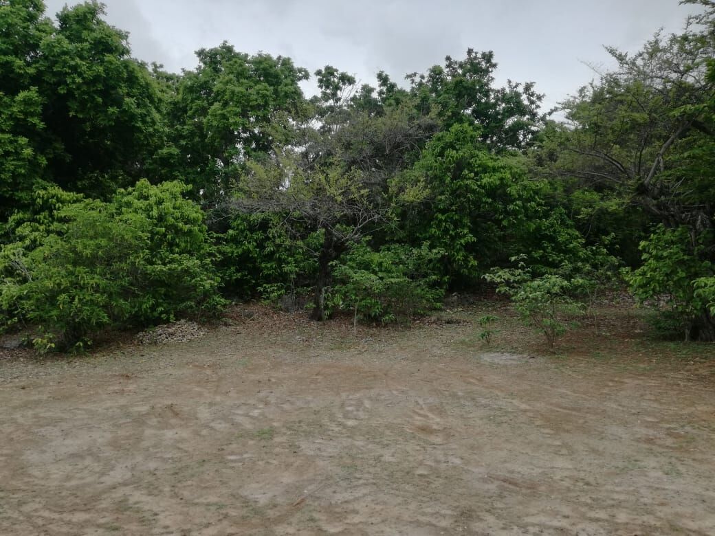 FLRote12  |  Indo Investments